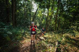 BIB: 
                            <button type="button" onclick="openModal(22545531)" class="btn btn-primary btn-sm float-right btn-popup" data-toggle="modal" data-target=".modal-high-quality">
                        <i class="fas fa-shopping-cart"></i> Add to Cart
                    </button>
                                            <button type="button" onclick="isThisMe(22545531, true)" class="btn btn-success btn-sm float-right btn-popup btn-isme hidden" data-toggle="tooltip" data-placement="bottom" title="นี่คือรูปของคุณใช่ไหม คลิกที่นี่เพื่อเอาเข้าอัลบั้ม">
                        <i class="fas fa-plus"></i> Add to album
                    </button>
                    <button type="button" onclick="isThisMe(22545531, false)" class="btn btn-warning btn-sm float-right btn-popup btn-isnotme hidden">
                        <i class="fas fa-ban"></i> Remove from album
                    </button>